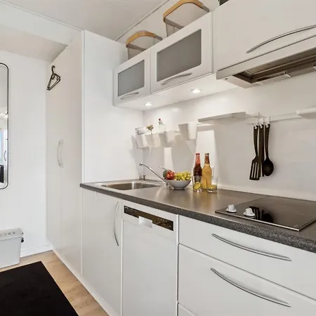 Annelie - 75m From The Sea By Interhome Apartment Allinge-Sandvig